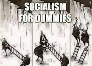 Socialism-For-Dummies